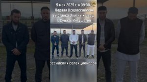 Первая Всероссийская Выставка Элитных Овец в г. Сунжа, Ингушетия.