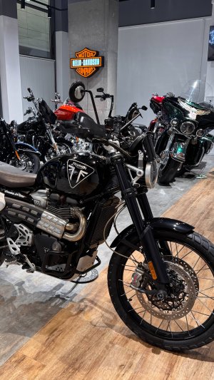 2021 TRIUMPH Scrambler 1200 XC