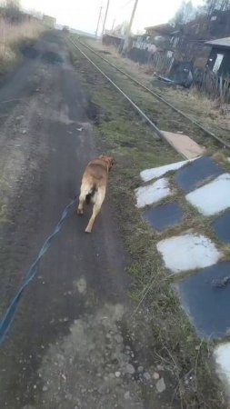 Готовимся к рыбалке на хариуса ))