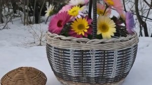 Корзина для грибов