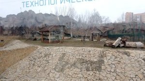 Ижевский зоопарк 2023, Уссурийский тигр