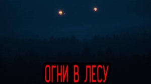 ОГНИ В ЛЕСУ...Страшилки на ночь. (Страшные истории на ночь). Мистика. Ужасы.  | Страшилки от ЗАЕРМАК