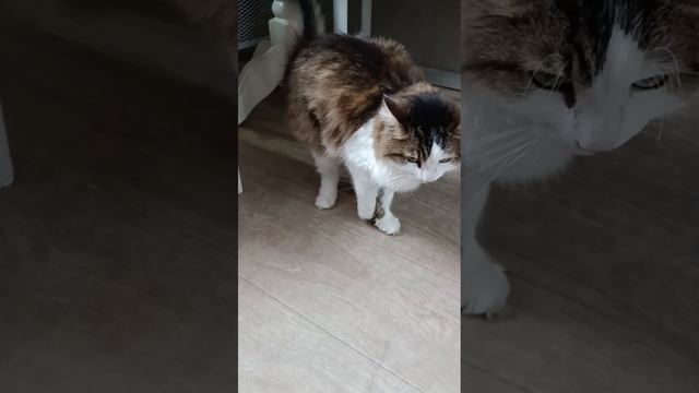 наш Кузьма