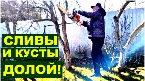 Майские на месте не сидели. Будет новая зона в саду.  Идеи НЕТ , нужна ваша помощь