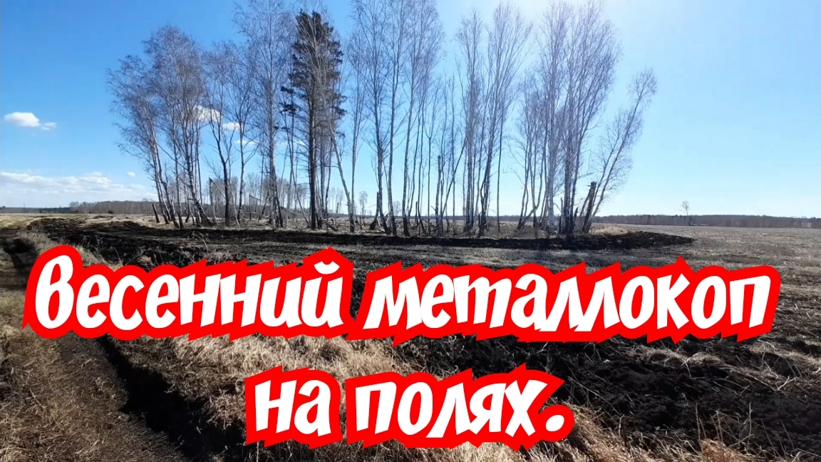 Весенний металлокоп на полях копаю в лесопосадках