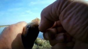 2025-05-02 Карась на поплавок оз.Горячее с.Тугозвоново