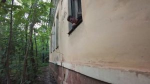 Психушка общение с пациентами актёр театра