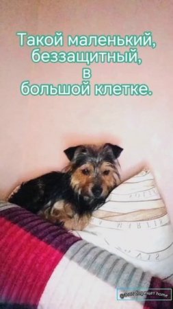 Борец за жизнь