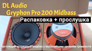 Распаковка и прослушка DL AUDIO Gryphon Pro 200 Midbass