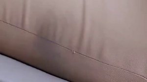 Дильраба Дильмурат в комедии «Мистер гордость против Мисс предубеждение».