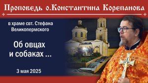 Об овцах и собаках... . Проповедь о. Константина Корепанова (3.05.2025)