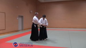 12 Aikido Katadorimenuchi Ikkyo Omote Shishiya Sensei Tokyo 2015
