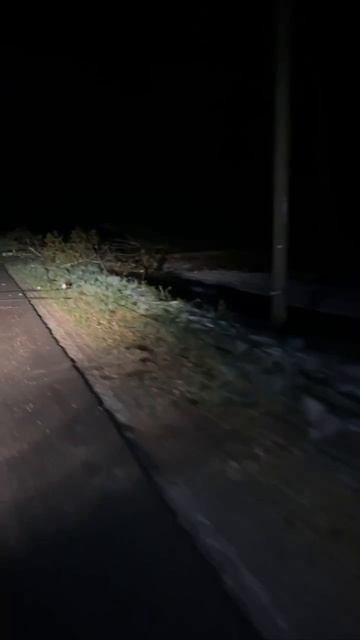 ‼️❄️Последствия аномального майского снегопада до сих пор ликвидируют в Подмосковье‼️❄️