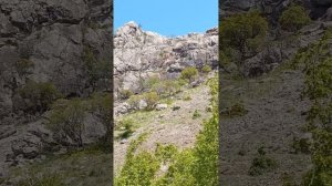 Лучше гор могут быть только горы! Крымское Зеленогорье