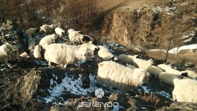 Тыва / Республика Тыва