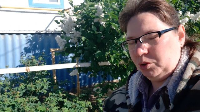 Антонина 🍬 
Утро со мной и с Яшей. Показываю  то,что мы сделали  в огороде  за эти дни.