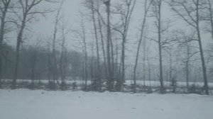 ВЛАДИМИРСКОЙ ЗЕМЛЕ ИНТЕРЕСНО. СЛУШАЕМ ЭКСКУРСОВОДА