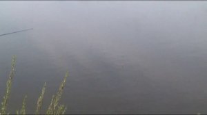 Рождение рыбака
