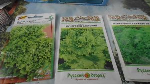 ПОСАДИЛИ СВЕКЛУ,САЛАТ,КАБАЧКИ И ОГУРЦЫ