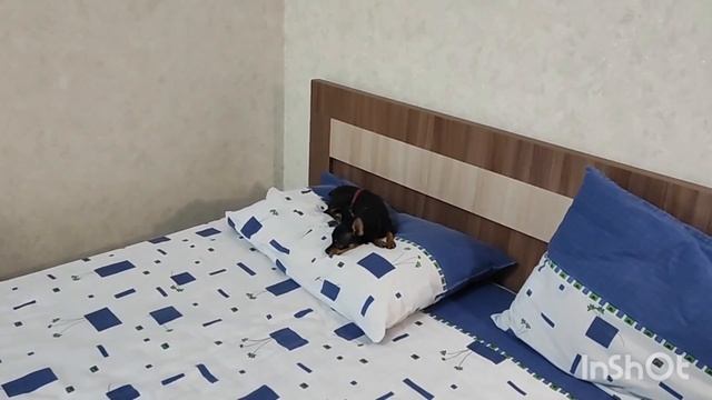 2024г. Здравствуй, море! // Наши апартаменты // Почему я приехала именно сюда?! //Mariya VD LIFE. смотреть онлайн