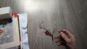 Все мои начатые работы на 02.05.2025 / Много начатышей