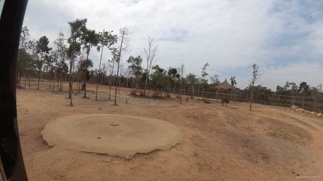 Животные в Винперл Фукуок сафари парк (Vinpearl Safari Phu Quoc) _ часть 3