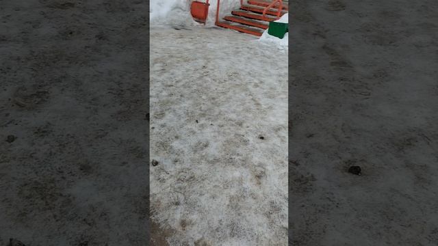 13 марта 2025 г., 10:10:12
ул. Белинского
VID_20250313_100717600