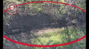 🔴Утрамбовка фашистов🔴