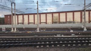 Приехал в Сант Петербург. 🏙️