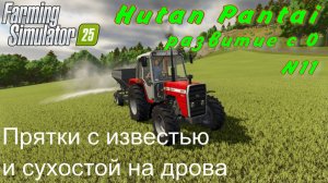 Farming Simulator 25. Hutan Pantai. Развитие с 0. 11 часть. Прятки с известью и сухостой на дрова.