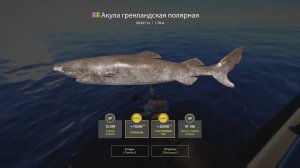 РР4 | Норвежское море | Акула гренландская полярная на патерностер