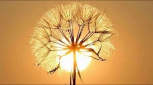 3 мая - Всемирный день Солнца