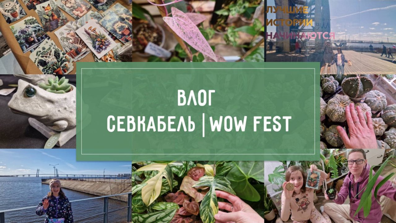 Влог: СЕВКАБЕЛЬ ПОРТ и WOW FEST