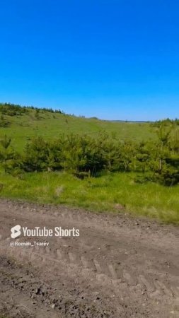 До здравствует король #shorts