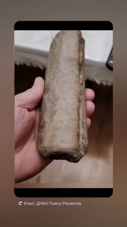 Предположительно ребро цетория 🔥🔥🔥