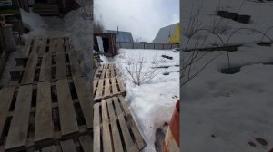 Майский обзор участка.