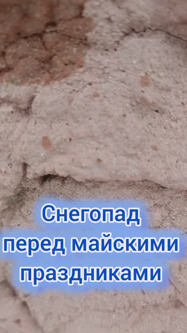 Снегопад у наших собак #ищем_дом #пермский_край #собаки #весна #помощь #приют #спасение #снегопад