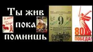 80 лет Победы. Памяти моего отца и его однополчан из 241 шап и 4 иап