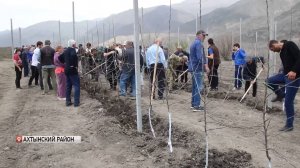 Первый в стране высокогорный суперинтенсивный сад заложили в Дагестане