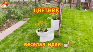 Цветник заставит улыбнуться всех цветоводов 🌺🚽😂