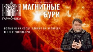 Дом защищает человека от магнитных бурь. Гармоника. Енин Герман.