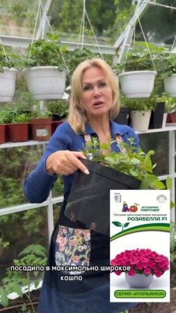 Пока на улице заморозки, мы пересаживаем и подрезаем рассаду!