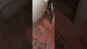 открыла свой ресторан