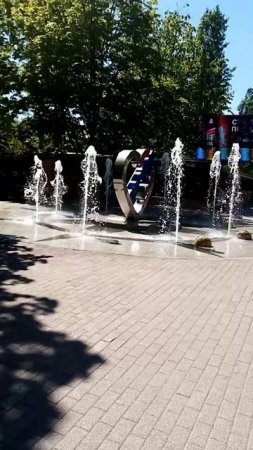 выходной в парку