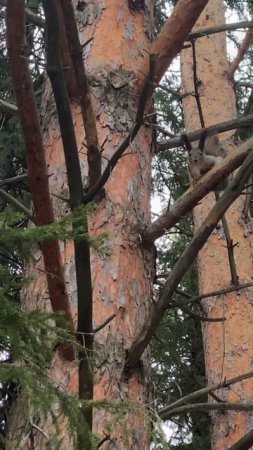 Может быть уже пора записаться к психологу?