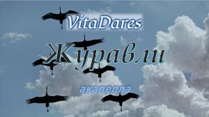 Журавли (a capella by VitaDares)