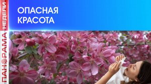 ⚡️ Внимание – цветение! В ДНР определены карантинные зоны