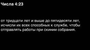 Числа, глава 4