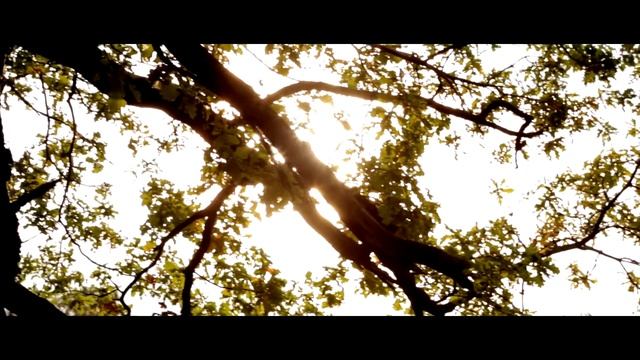 Ильнур & Лейсан