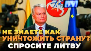 Так угробить страну могла только Литва